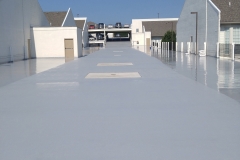 Gallery 3